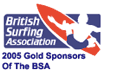 Link - British Surfing association